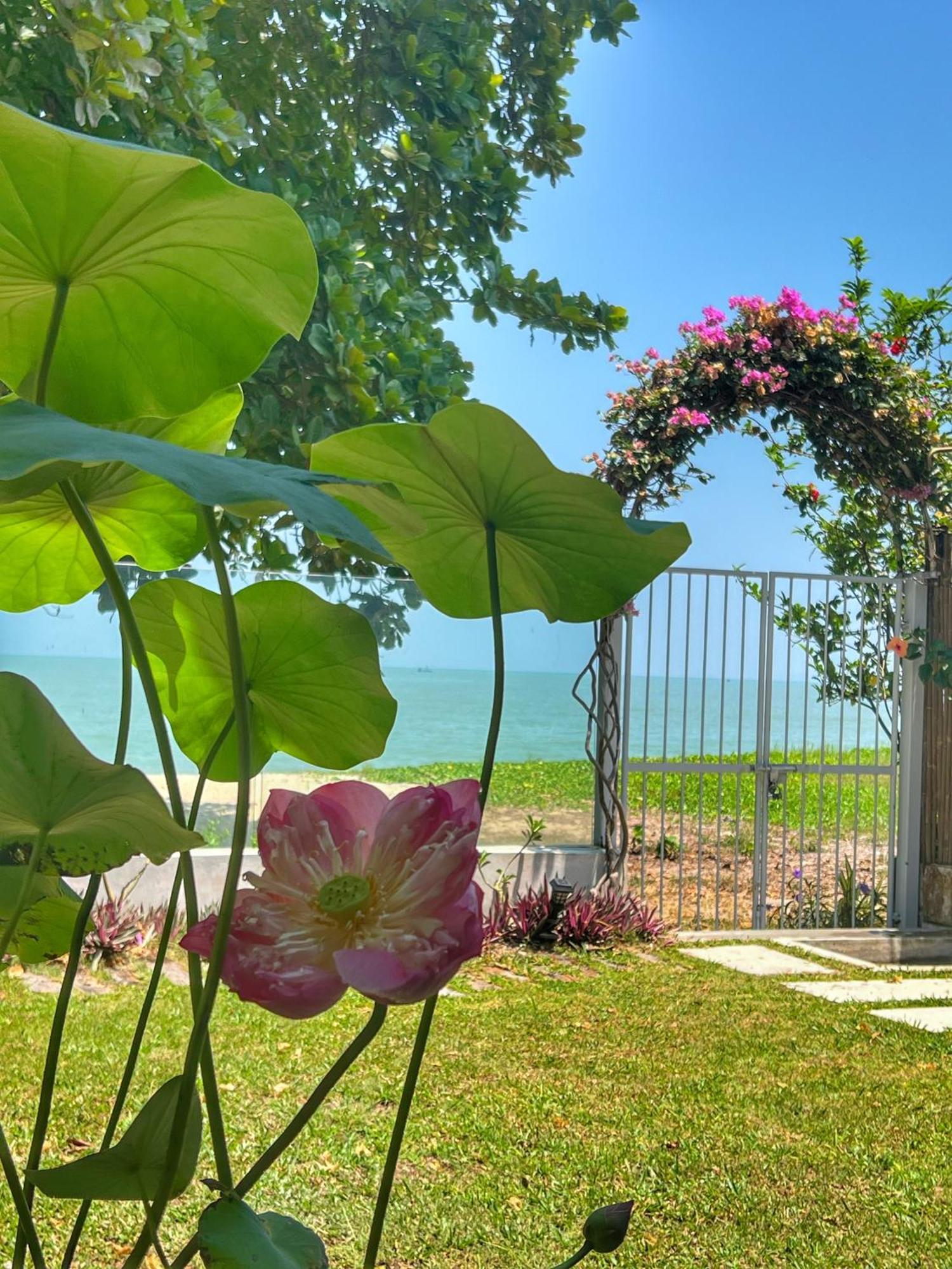 Smell Rose Beach Garden Batu Feringgi Εξωτερικό φωτογραφία